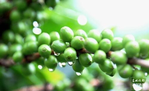 保山的这7个A级景区等你来游（春城晚报-开屏新闻记者 崔敏 通讯员 甘湉 摄）