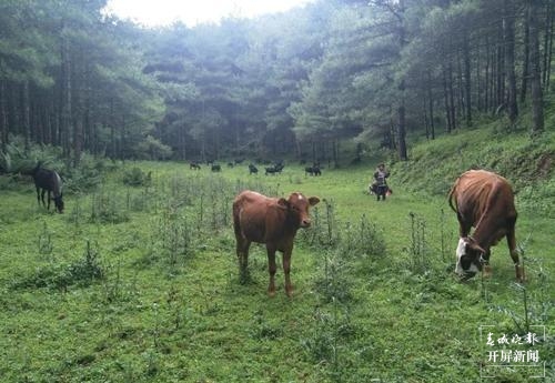 保山的这7个A级景区等你来游（春城晚报-开屏新闻记者 崔敏 通讯员 甘湉 摄）
