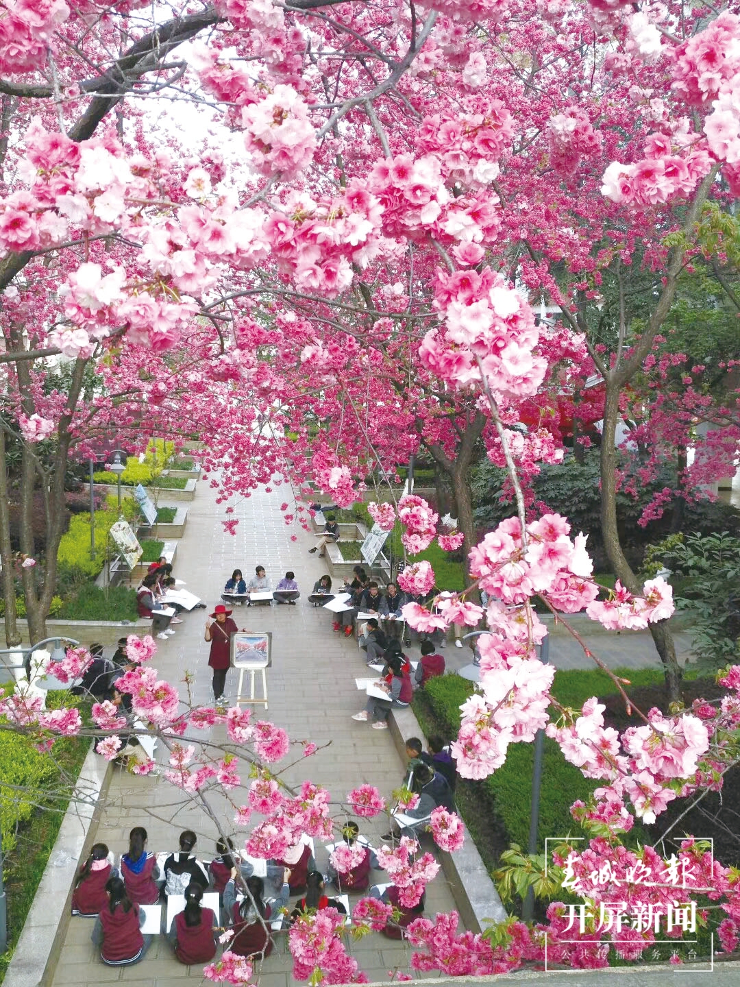 校园景色 (14).jpg