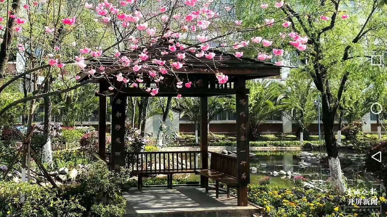 校园景色 (12).JPG