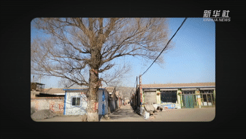 奔跑吧！行进在“十四五”的青春