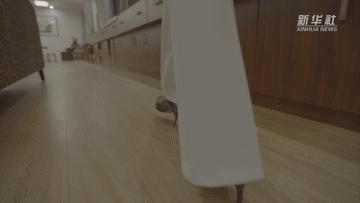 奔跑吧！行进在“十四五”的青春