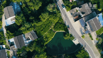 奔跑吧！行进在“十四五”的青春