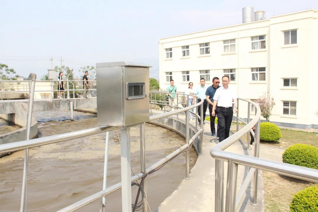 环保督察典型问题，直查直办直播在线——保山在行动（三）