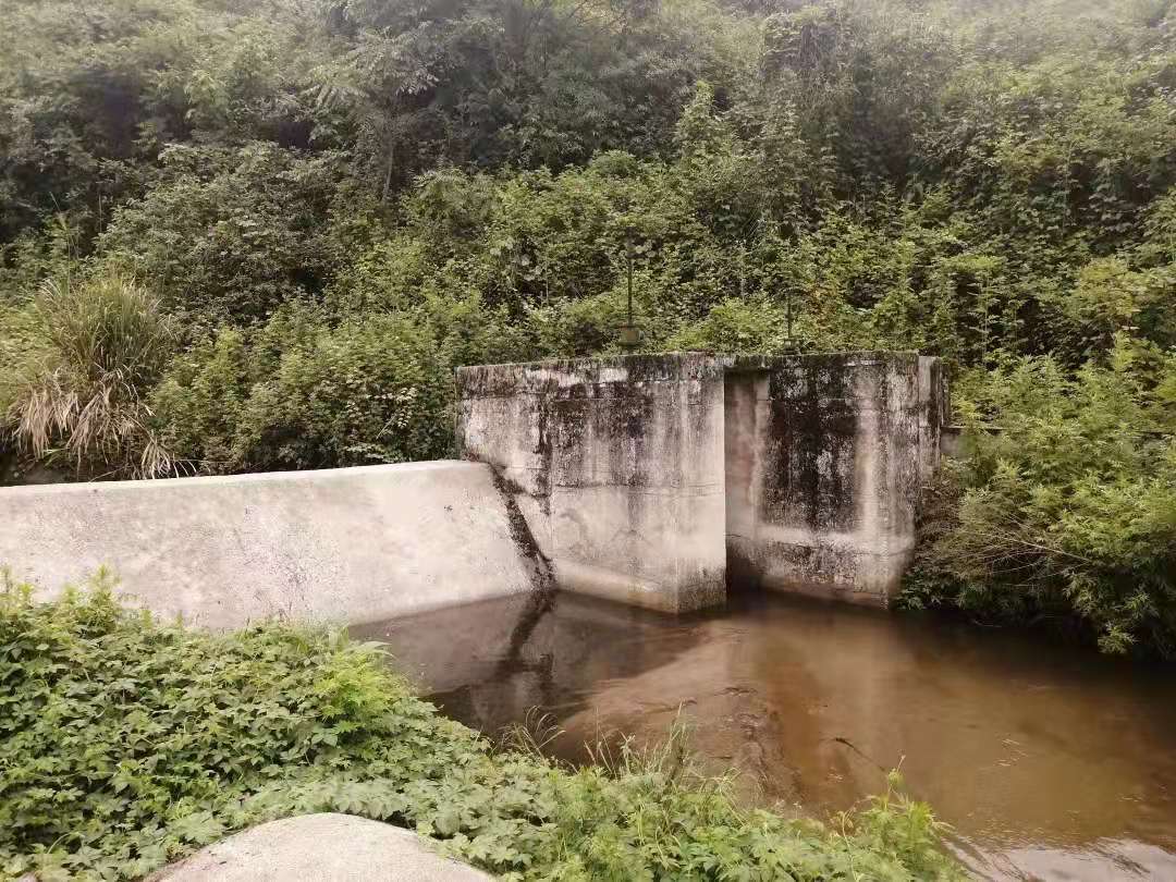 环保督察典型问题，直查直办直播在线——文山在行动（八）