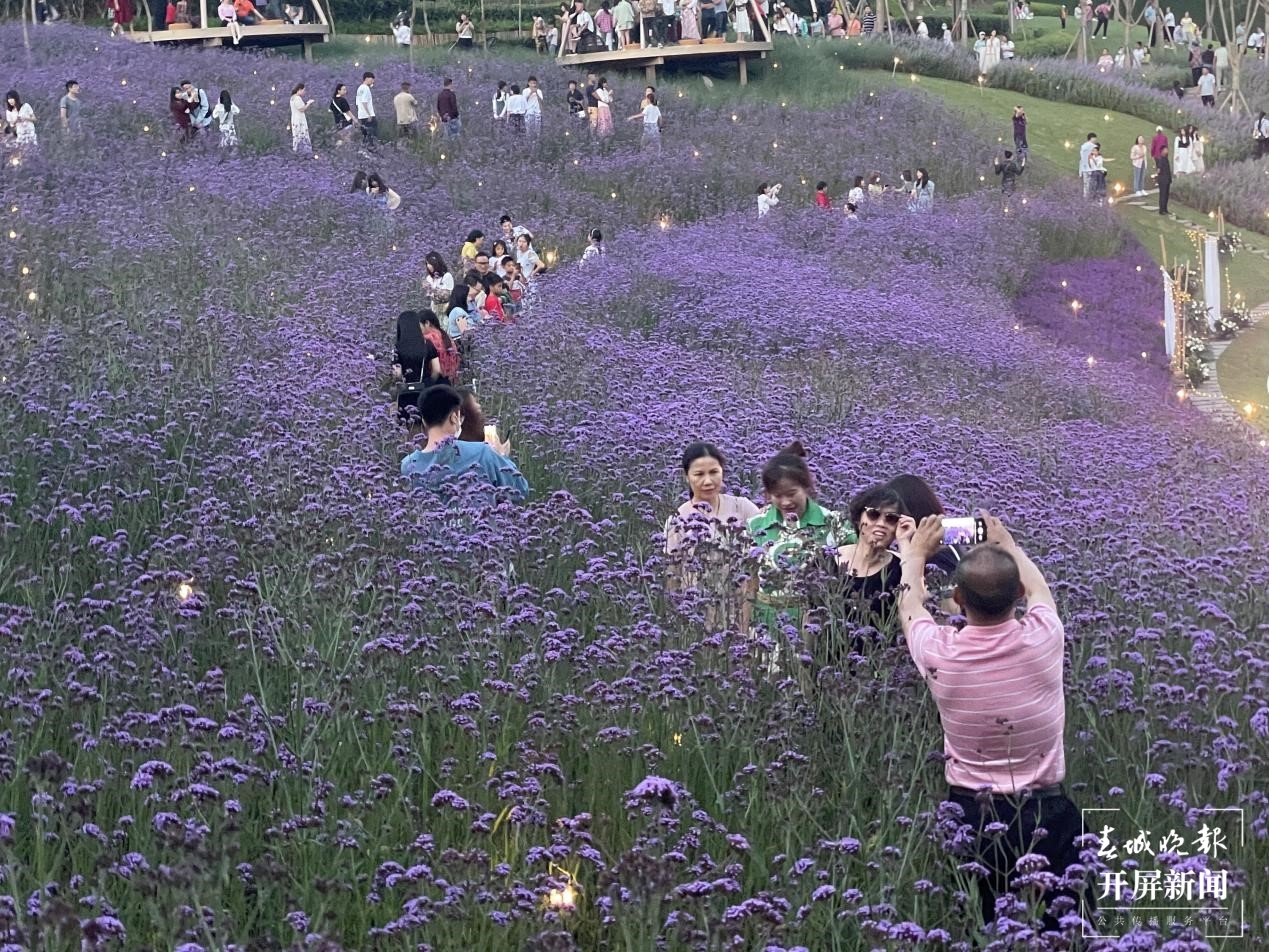 旅游收入3.42亿元！“五一”假期，普洱迎客57.11万人次 记者 杨质高 通讯员 戴铮 飞立萍 摄 (2).jpg