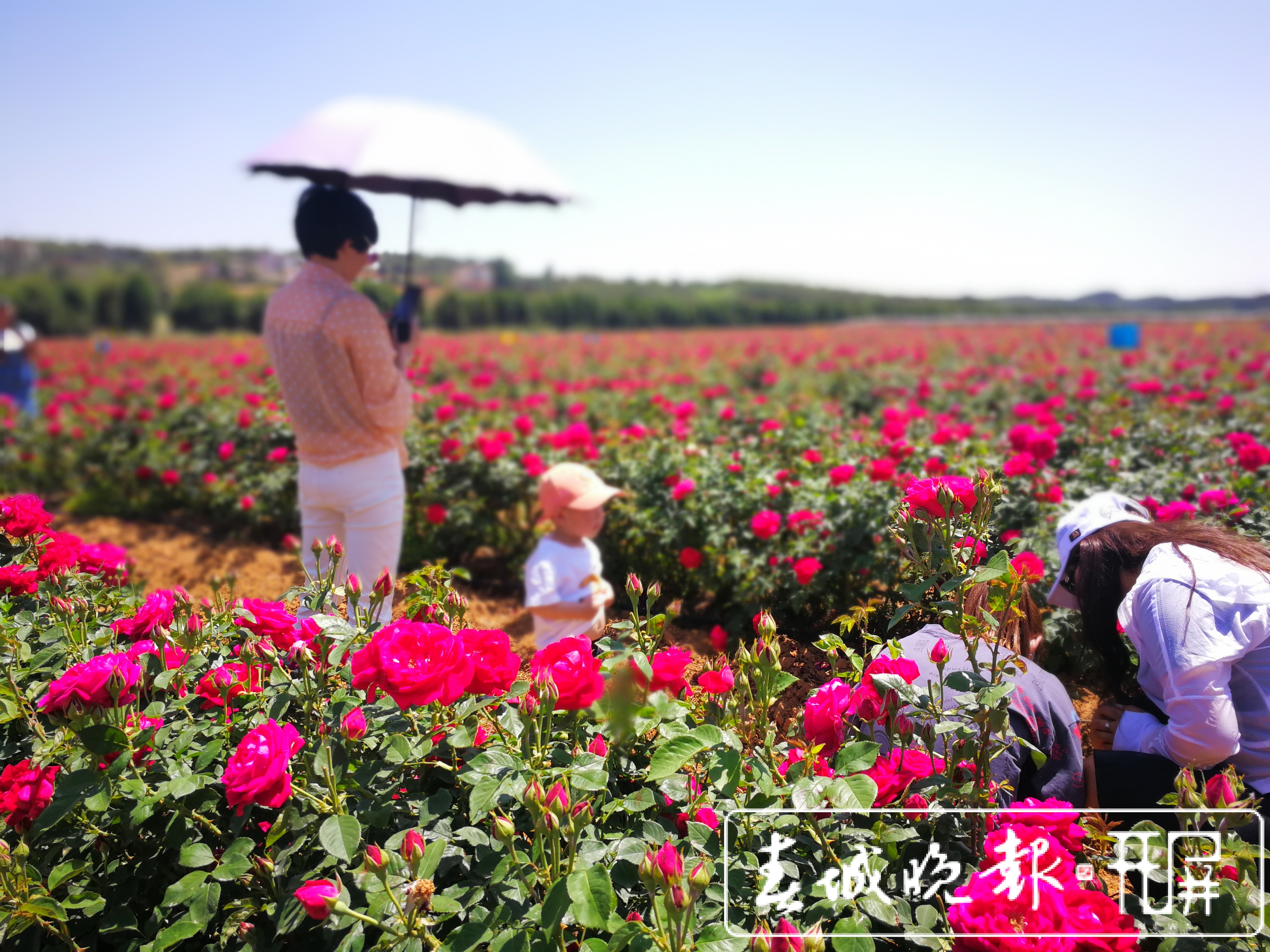 “五一” 假期曲靖市累计接待游客102万人次，实现旅游收入10.19亿元！（蒋琼波 摄影报道）