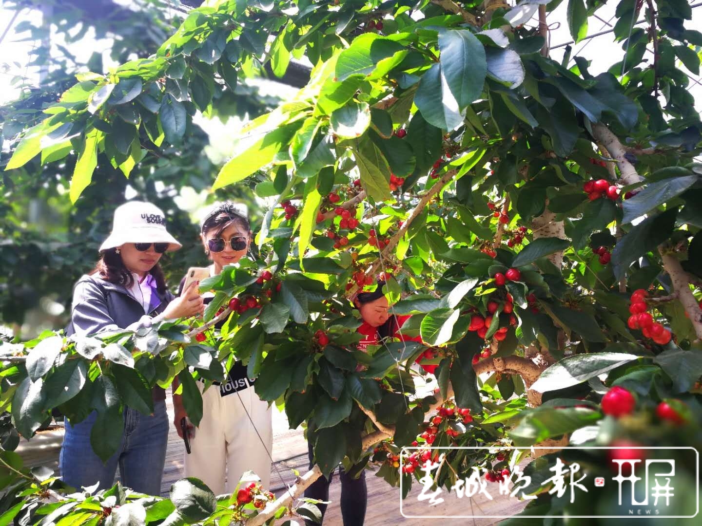 “五一” 假期曲靖市累计接待游客102万人次，实现旅游收入10.19亿元！（蒋琼波 摄影报道）