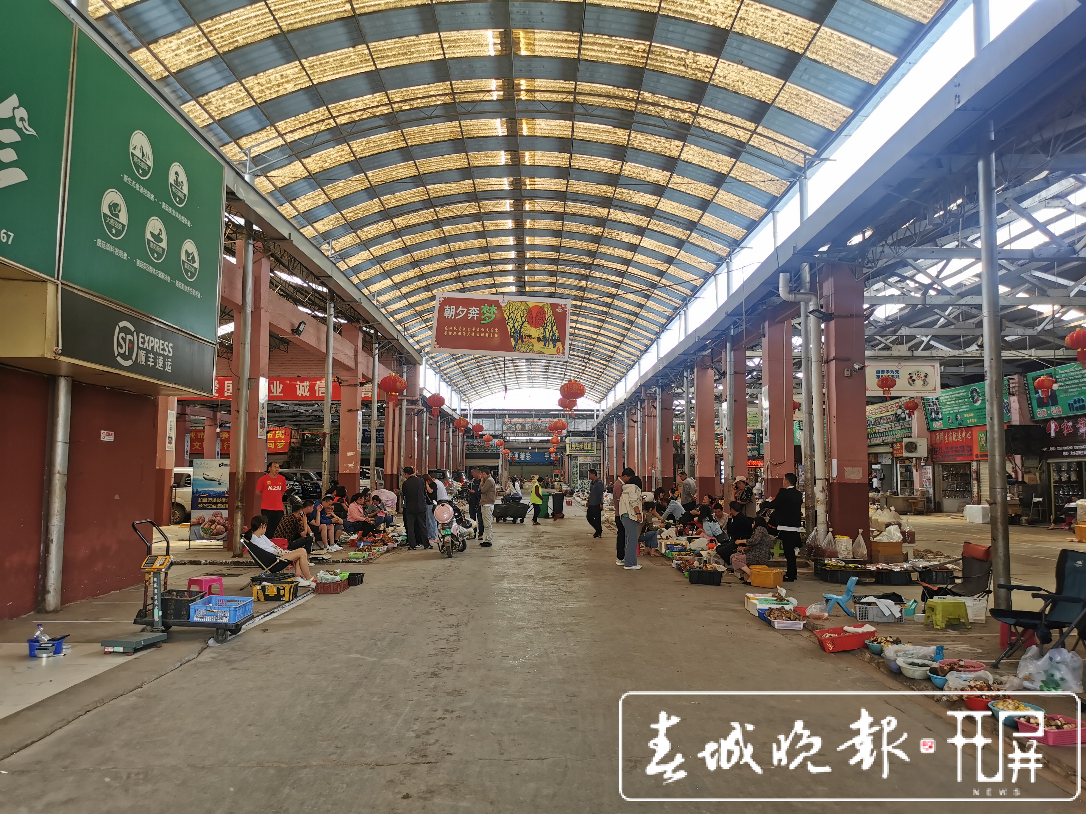 昆明野生菌上市啦！见手青价格涨至1200元/公斤（李赛 摄影报道）