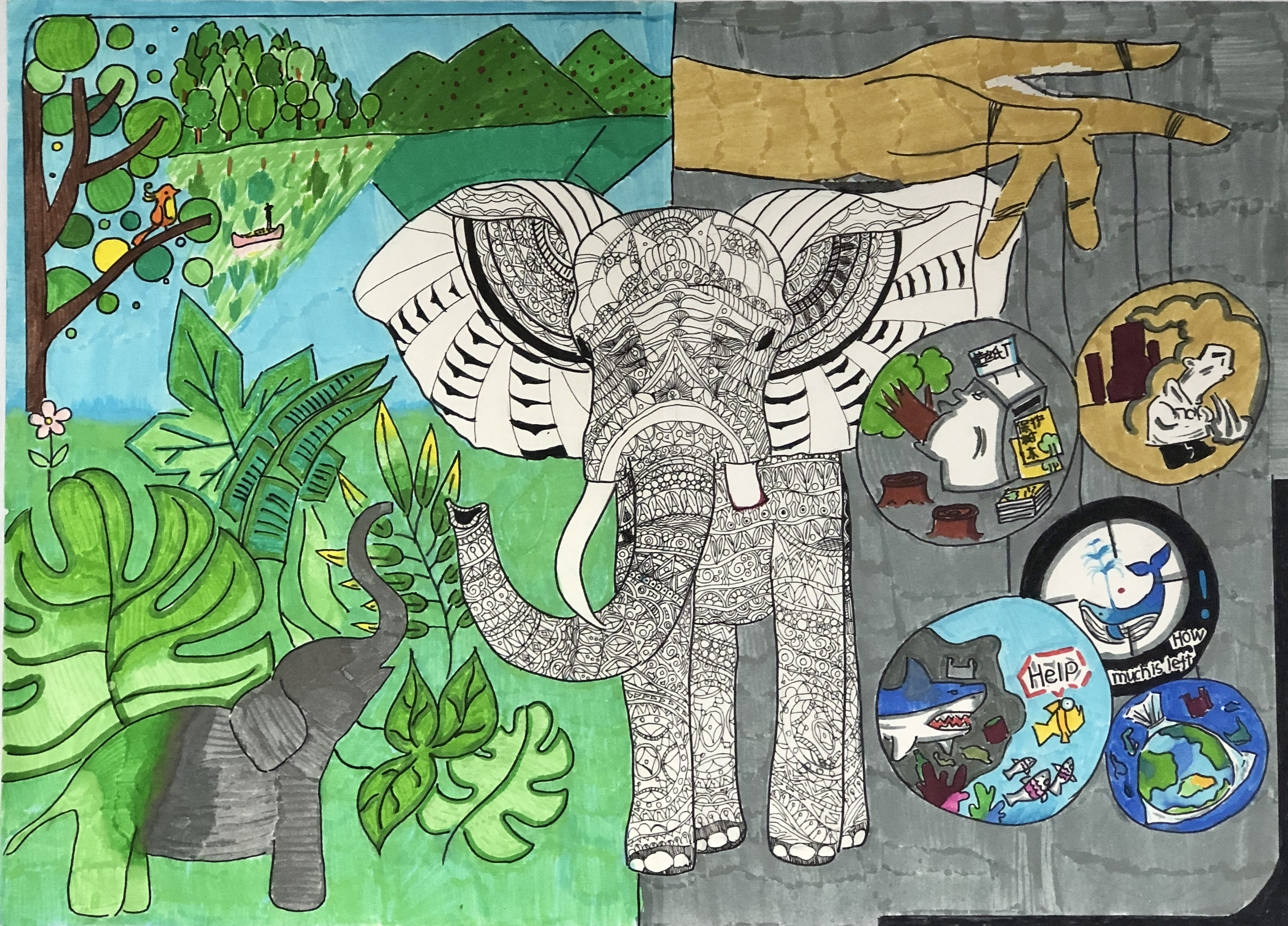 《请您放过我们》 杨雅棋 13岁.JPG