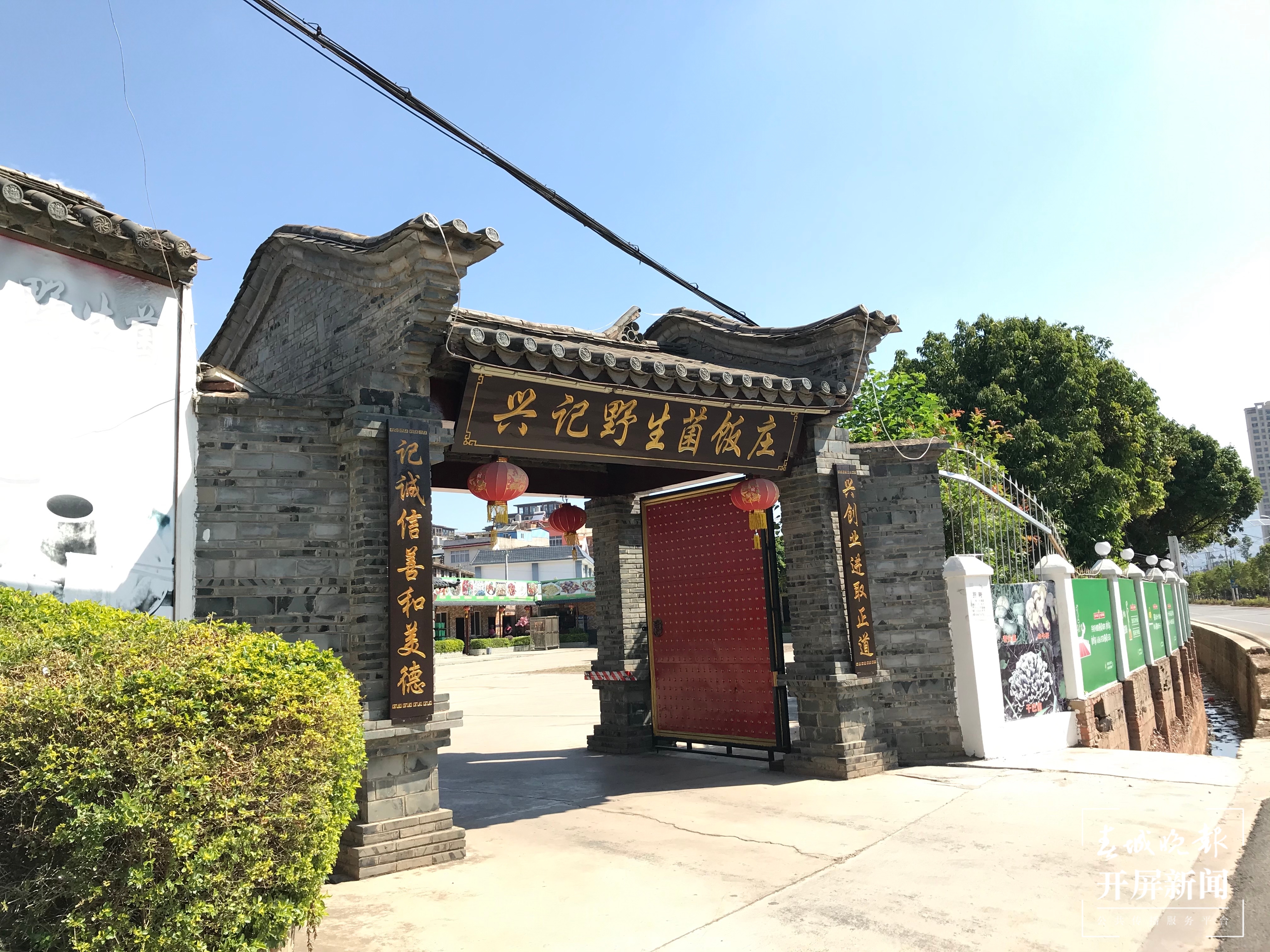 玉溪“头水菌”量少价高，市民想尝鲜还要再等等 李春丽 摄 