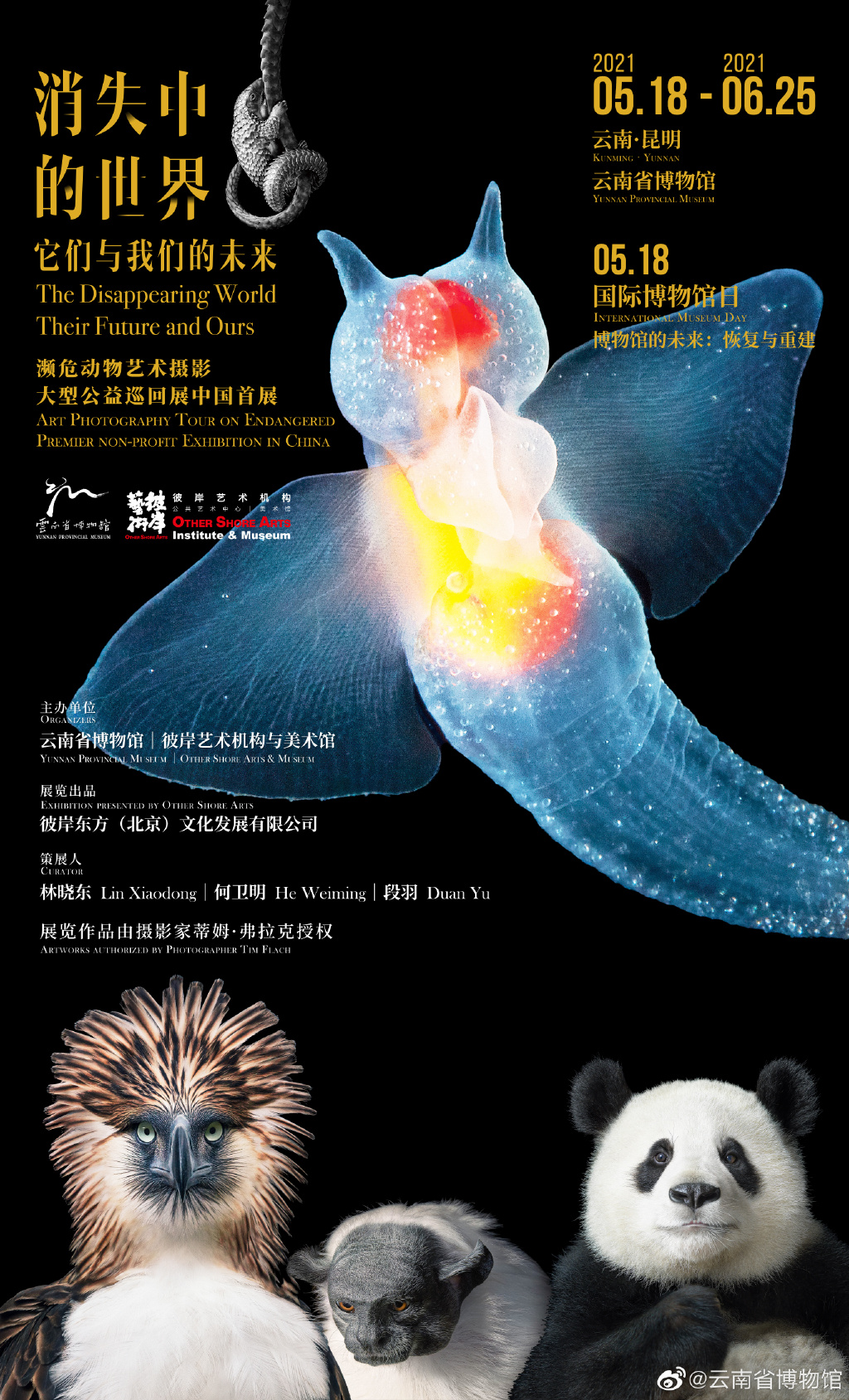 观展指南 | 国际博物馆日，在云南你能看到这些精彩活动！