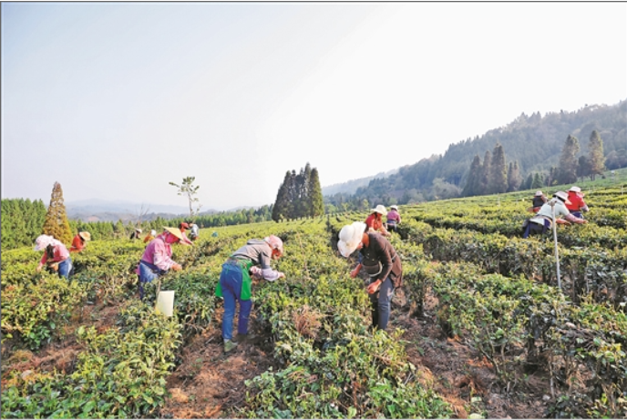 谋篇十四五 开局起好步3.png