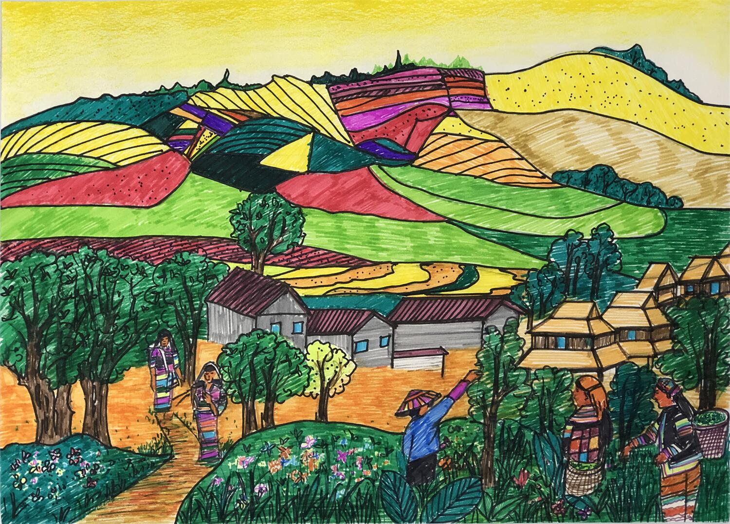 《普洱茶故乡》 岩罕香  11岁.jpg