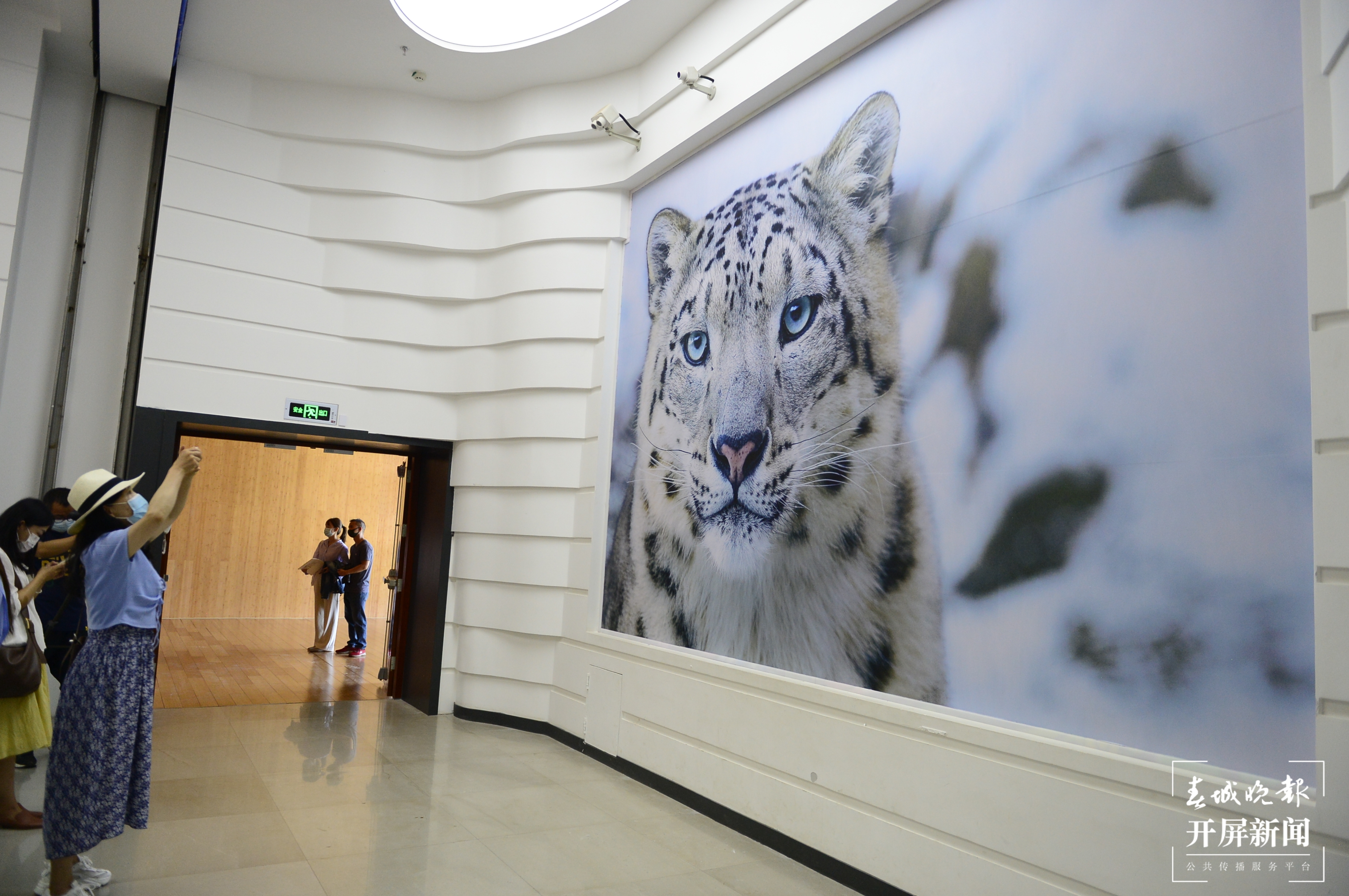 它们来自6000米高山和海底深处！今天，去省博为这个艺术特展打卡 春城晚报-开屏新闻记者 龙宇丹 摄