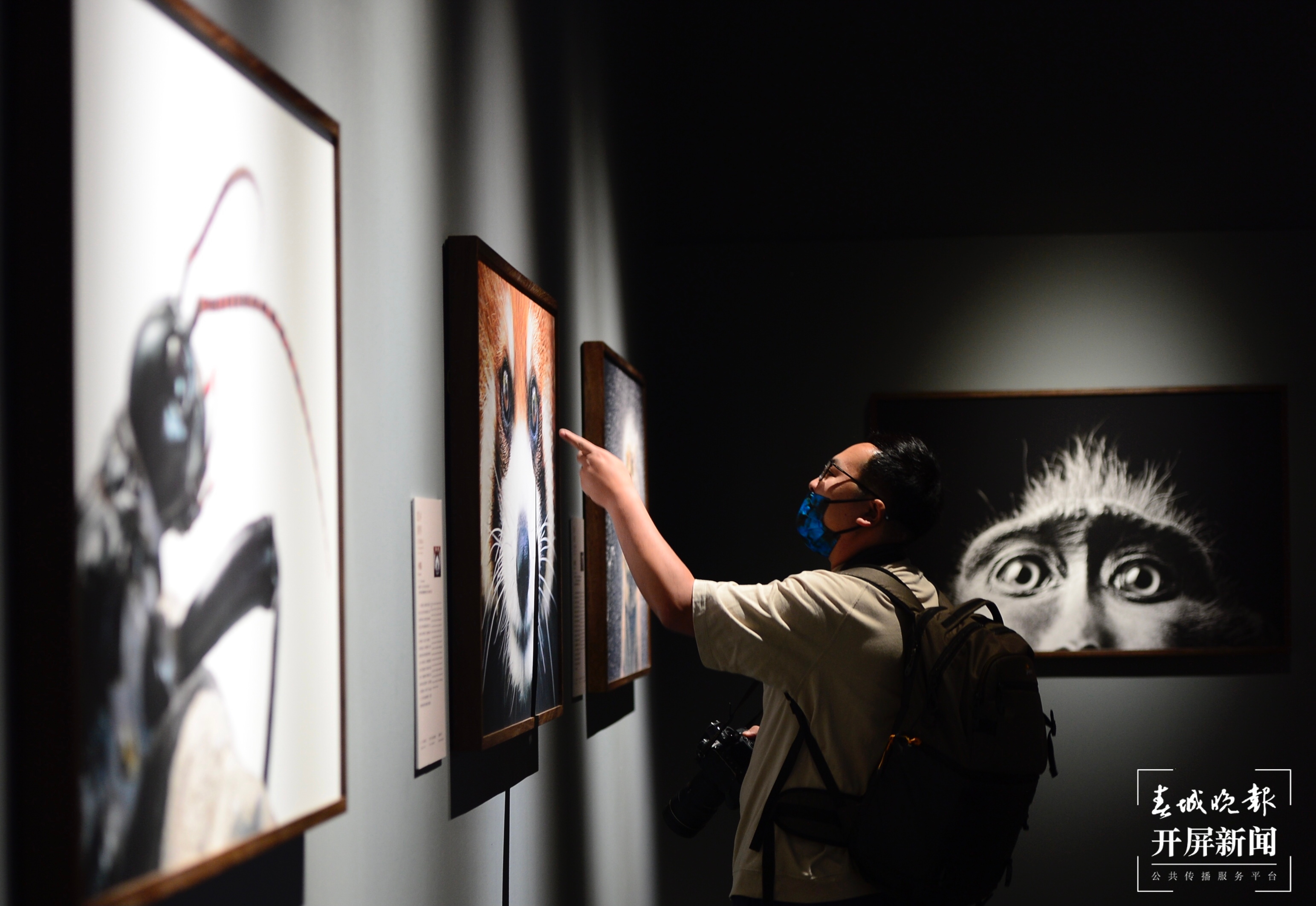 它们来自6000米高山和海底深处！今天，去省博为这个艺术特展打卡 春城晚报-开屏新闻记者 龙宇丹 摄