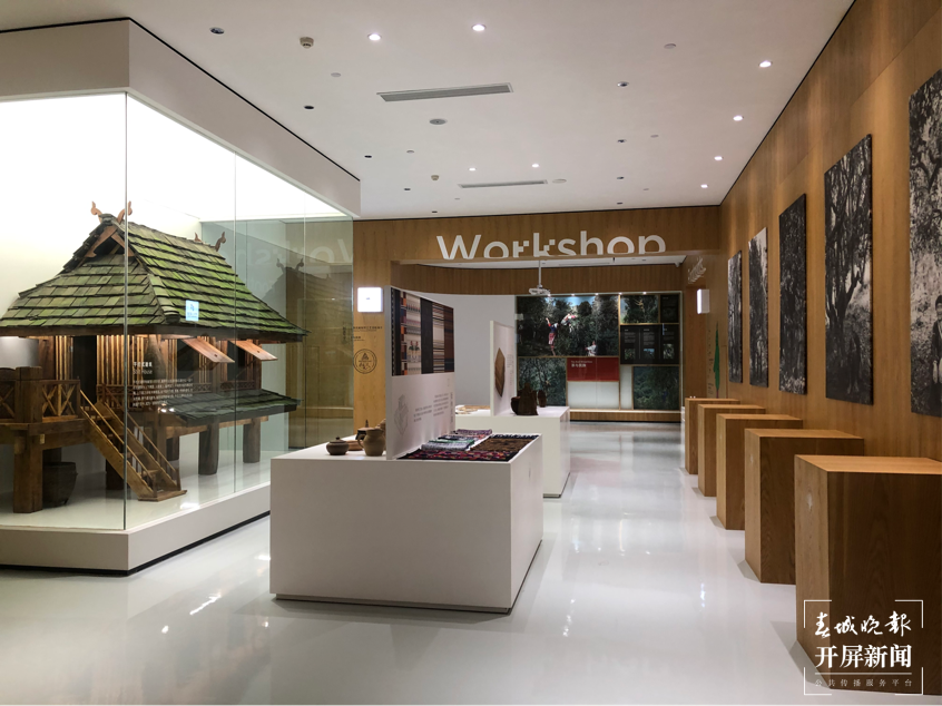 【绿水青山小康路】这个博物馆汇聚了超过30000种古树茶原料