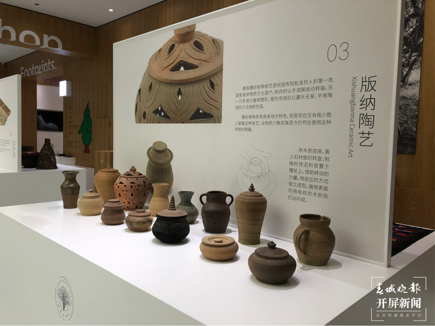 【绿水青山小康路】这个博物馆汇聚了超过30000种古树茶原料