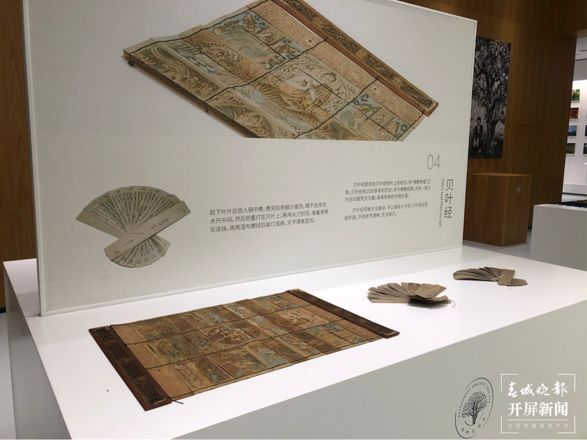 【绿水青山小康路】这个博物馆汇聚了超过30000种古树茶原料