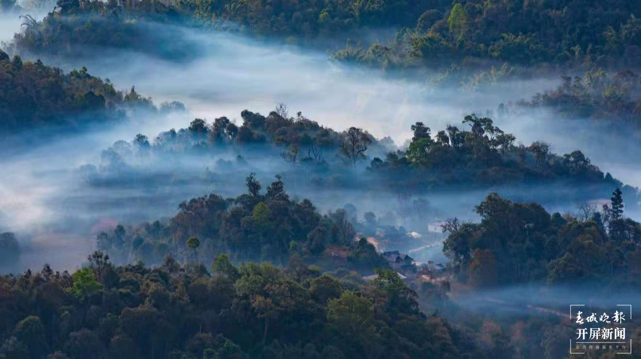 云南日报报业集团“西双版纳行——绿水青山小康路”全媒体采访启动