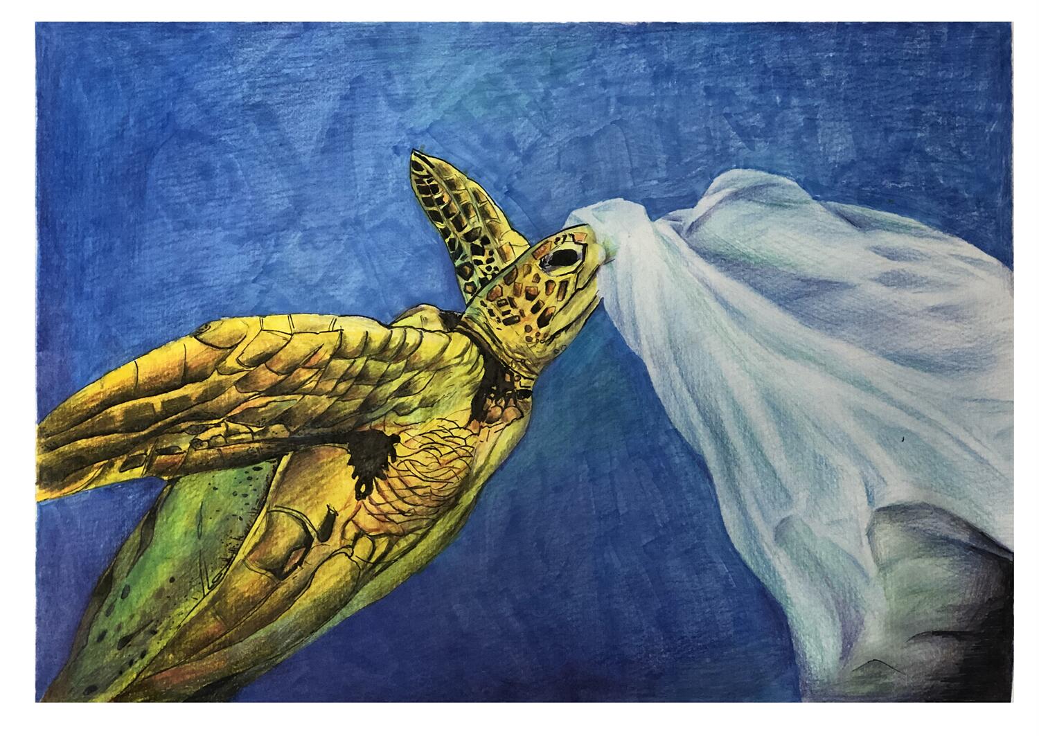 《沉睡的海洋，白色的垃圾》 段佳宜 11岁.jpg