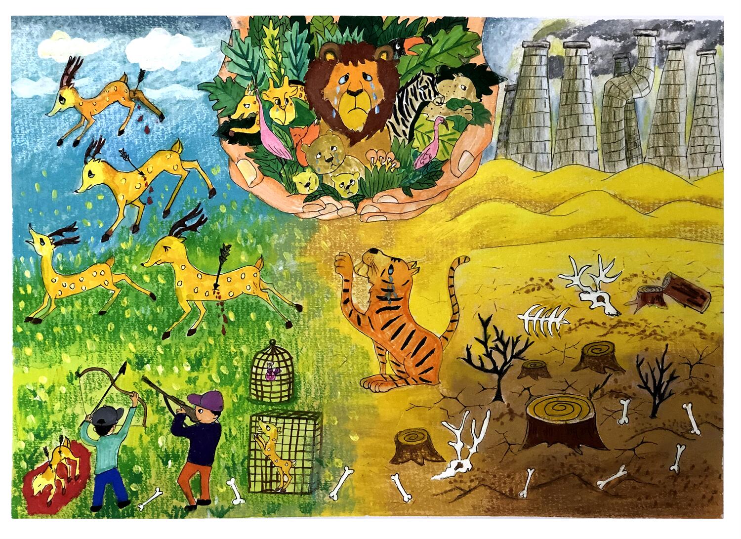 《要呵护，不要杀戮》 唐可馨 11岁.jpg