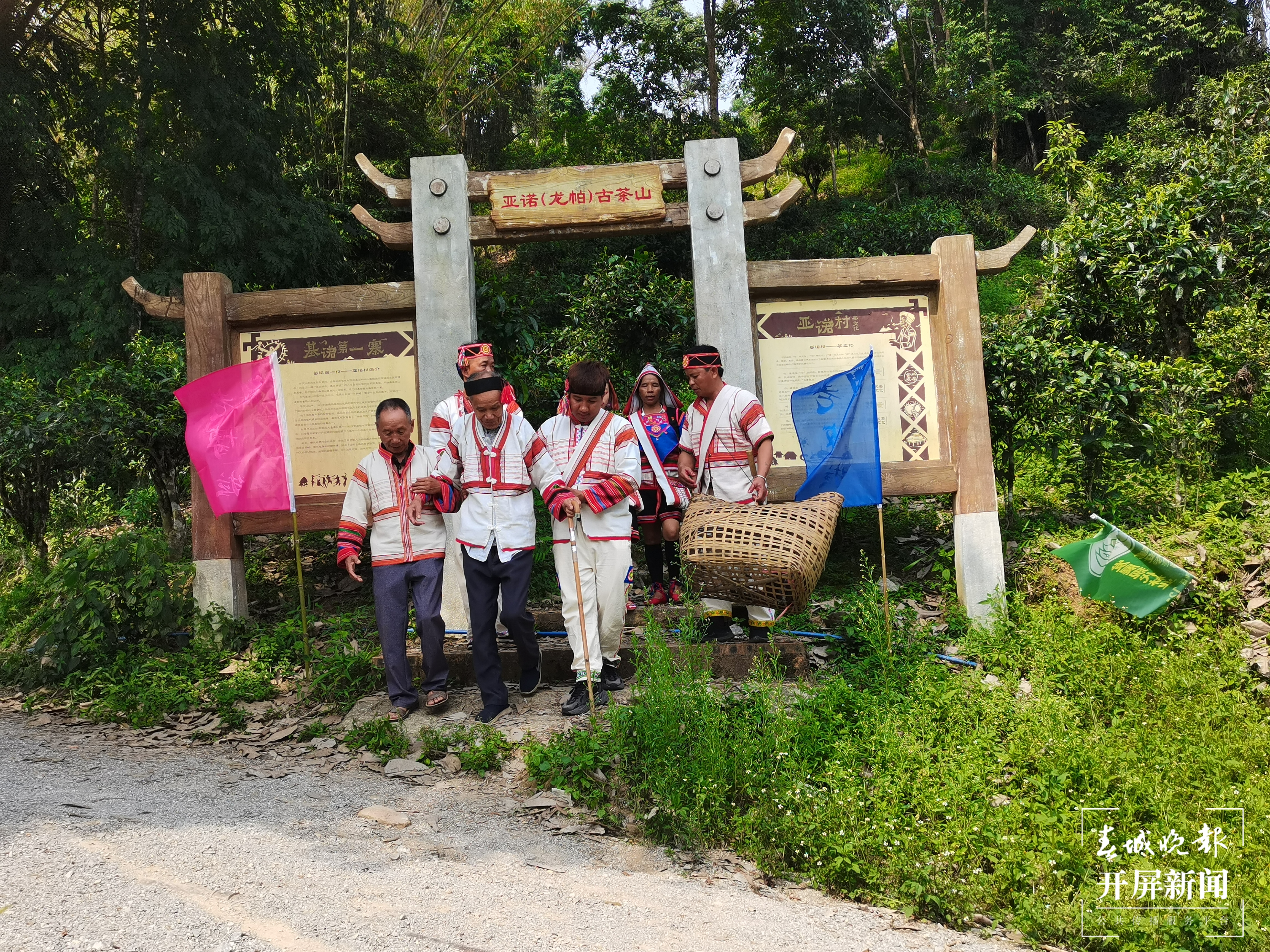 视频 | 神秘的基诺山祭茶神仪式