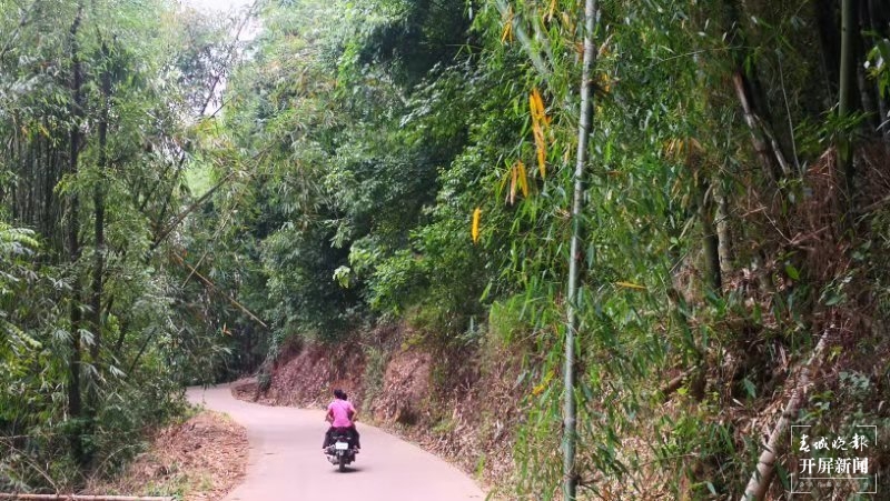 【绿水青山小康路】茶农“高兴”的幸福生活