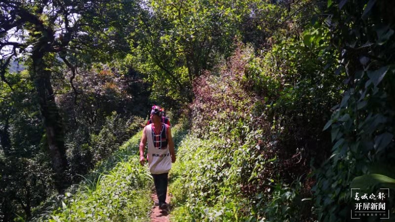 【绿水青山小康路】茶农“高兴”的幸福生活