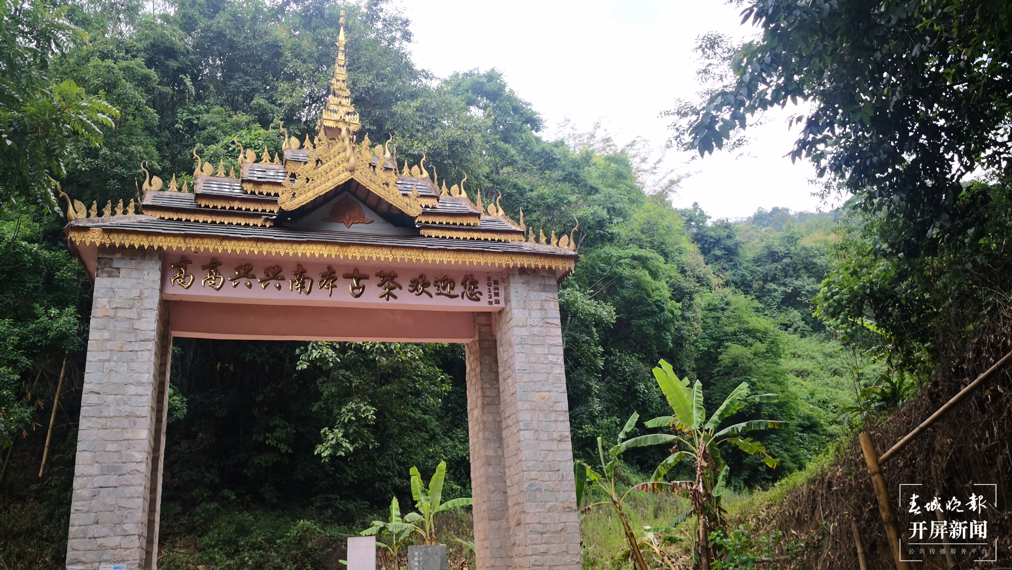 【绿水青山小康路】茶农“高兴”的幸福生活