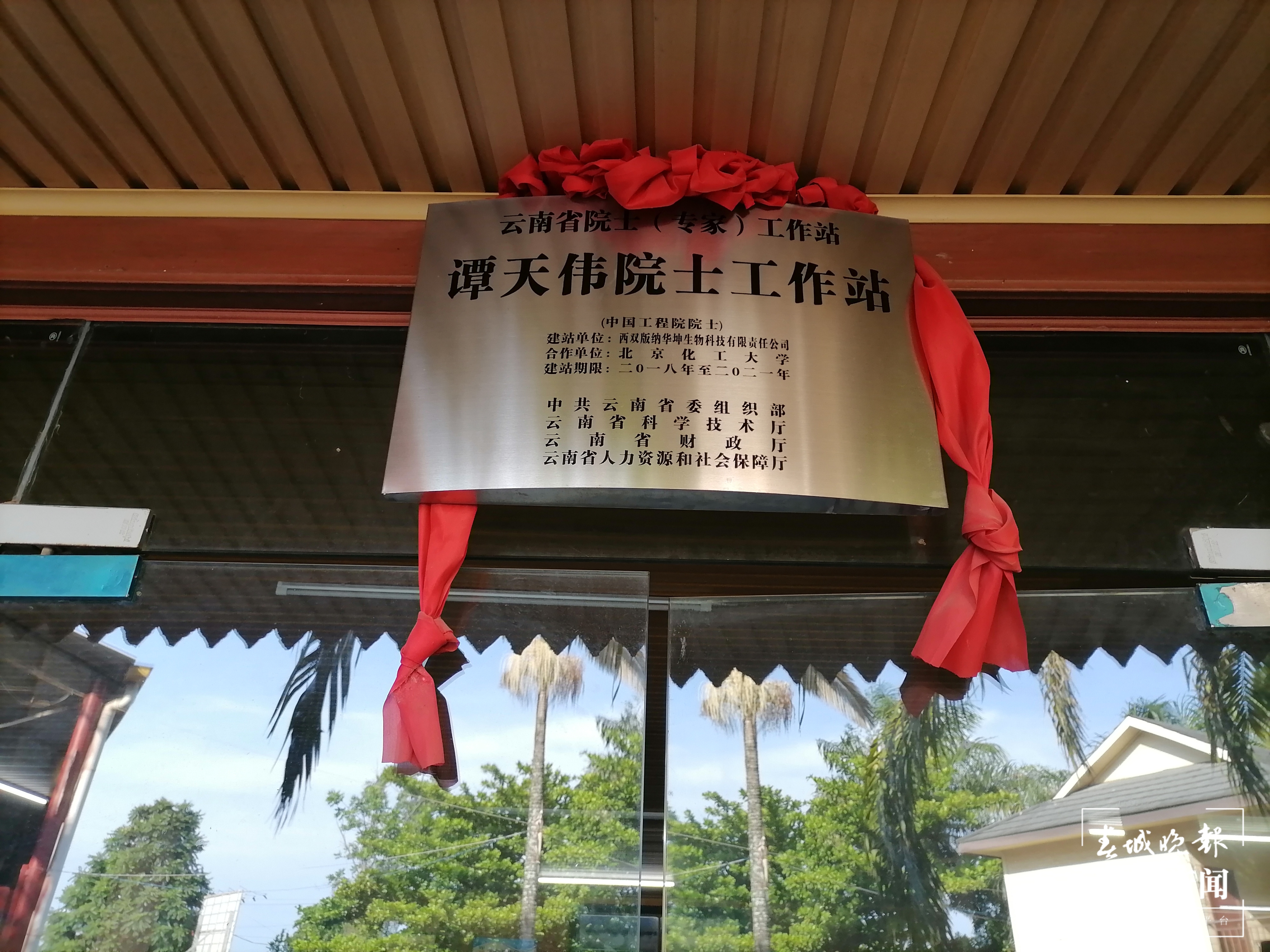 【绿水青山小康路】橡胶籽壳：一颗种子造民居