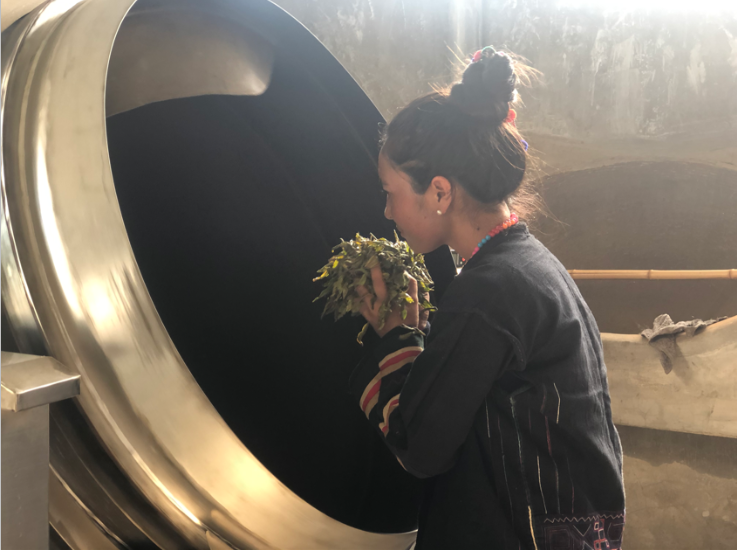 上海松江区援建茶叶初制所 让暖和村民的心里很“暖和”3.png