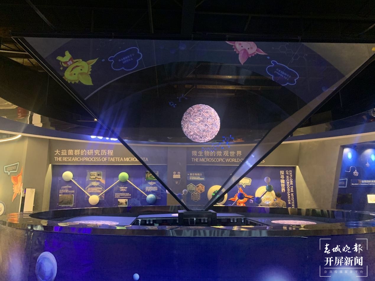 品味大益的过去，瞭望大益的未来