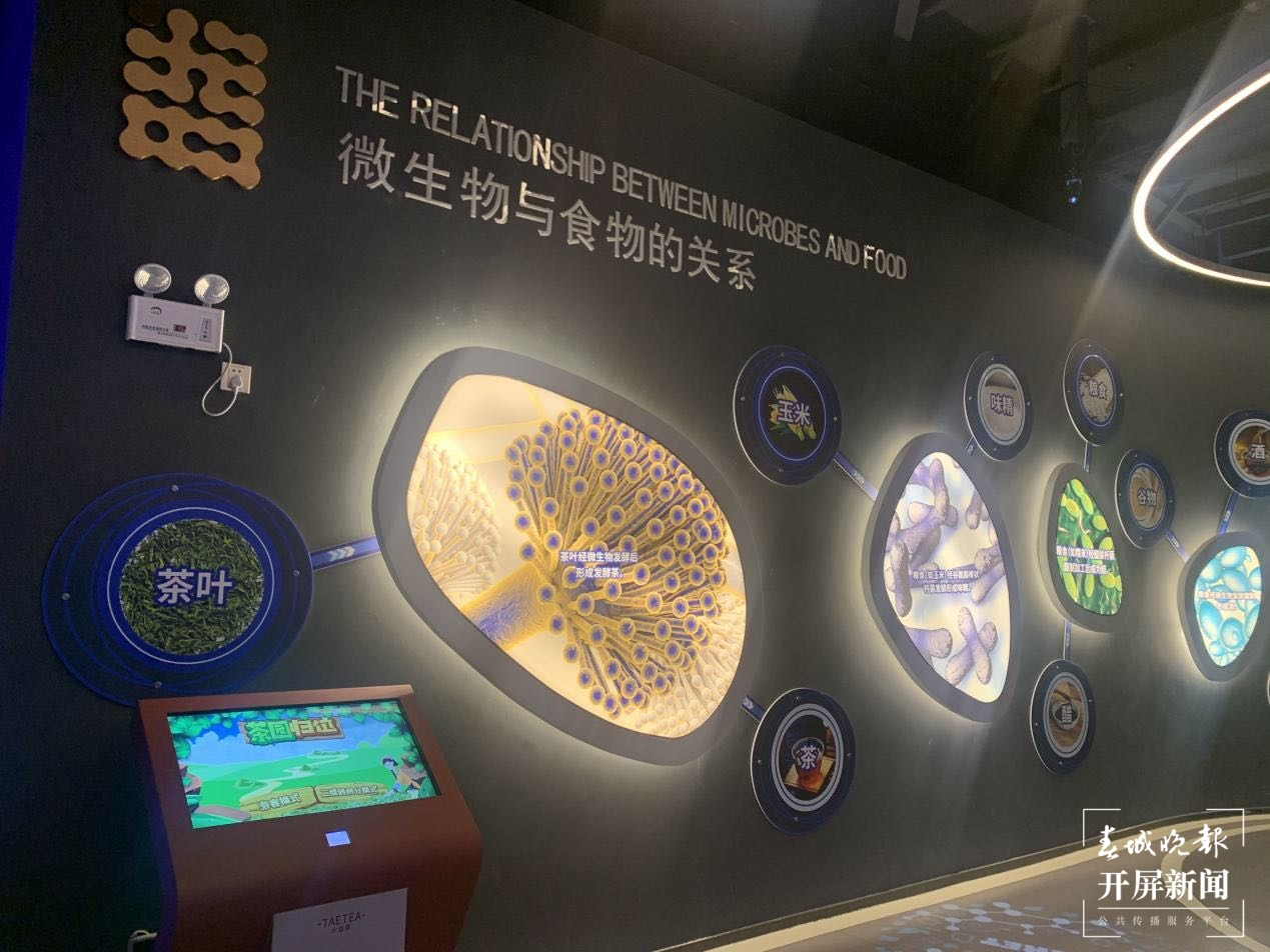 品味大益的过去，瞭望大益的未来