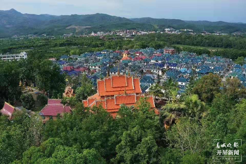 勐仑镇城子村争做村振兴排头兵