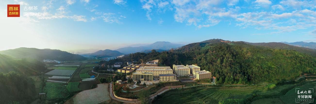 雨林企业发展与脱贫双推进的兴茶扶贫之路1.jpg