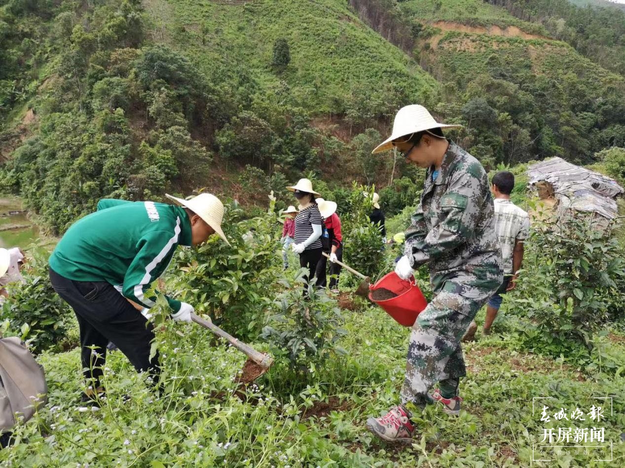 勐海茶厂助推茶农过上好日子3.jpg
