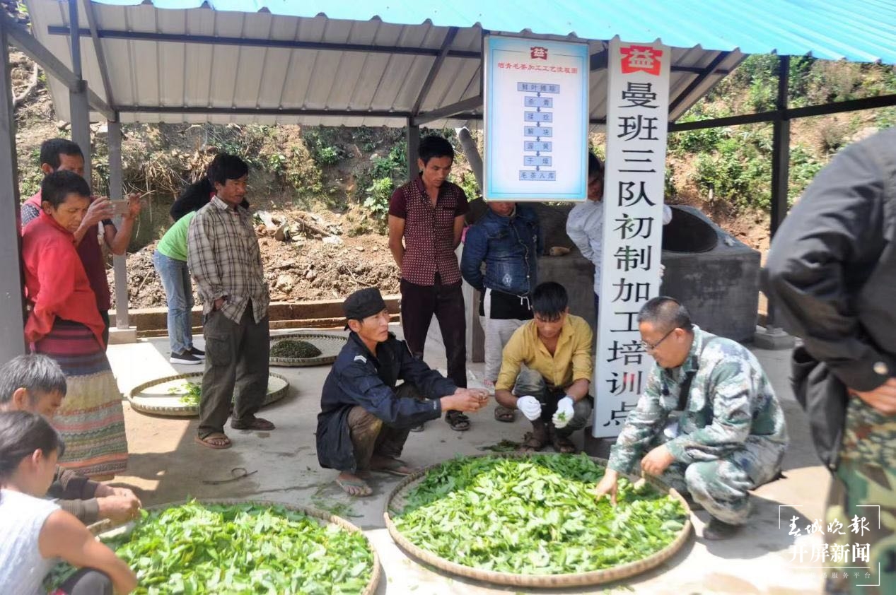 勐海茶厂助推茶农过上好日子1.jpg