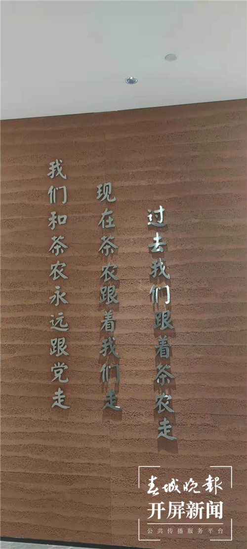 专访雨林古茶坊江学明