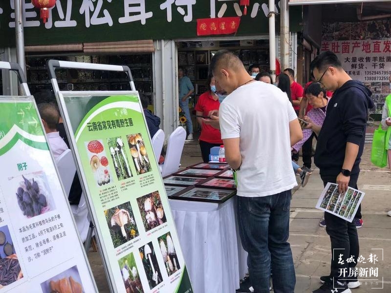 官渡区开展野生菌食用安全宣传活动(春城晚报-开屏新闻记者 罗宗伟 摄)