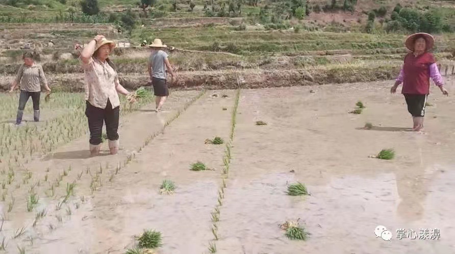 漾濞的烟火气，回来了！