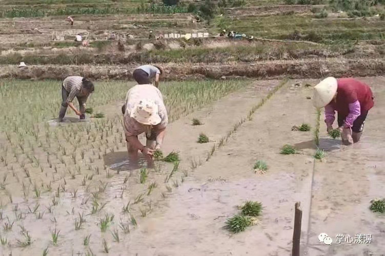 漾濞的烟火气，回来了！
