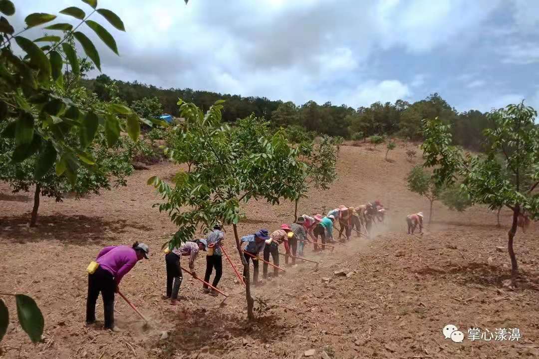 漾濞的烟火气，回来了！