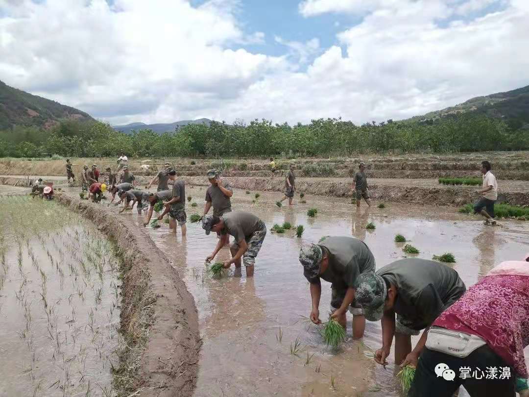漾濞的烟火气，回来了！