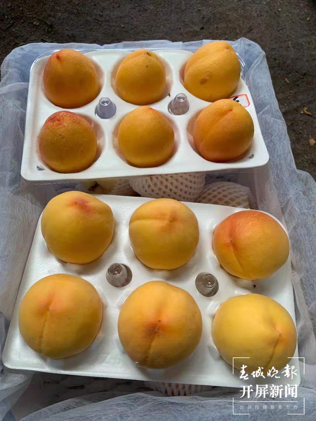 石旮旯地改造连片地