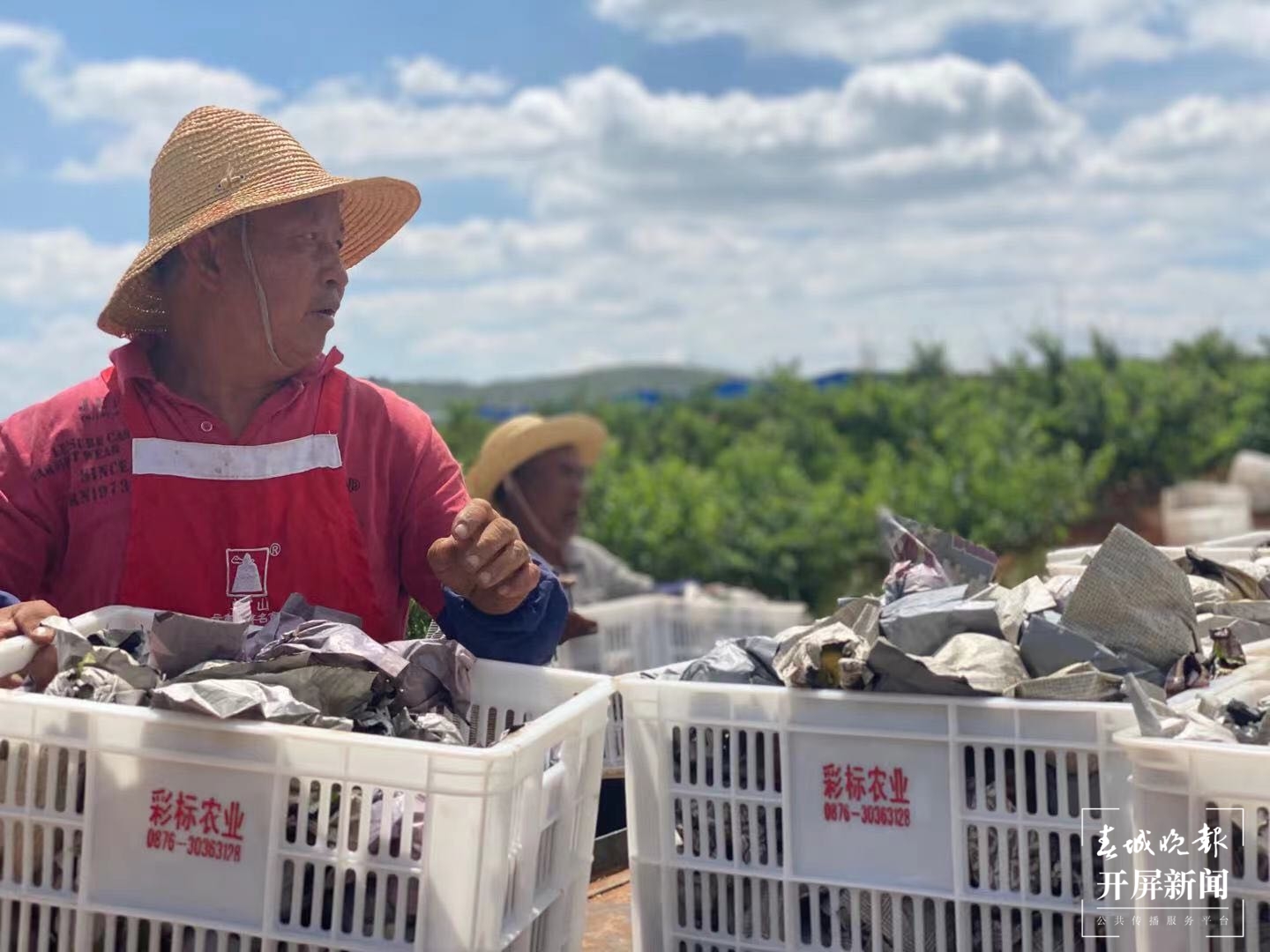 石旮旯地改造连片地