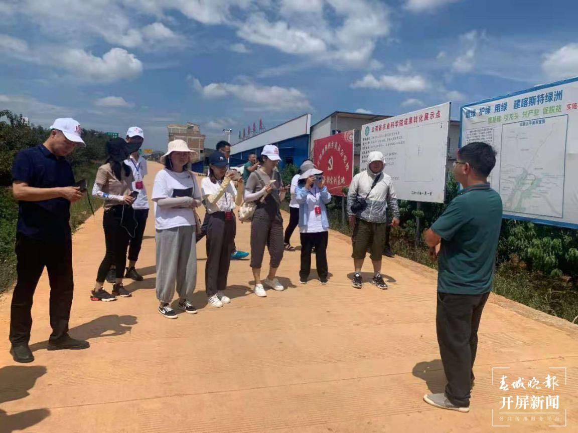 石旮旯地改造连片地