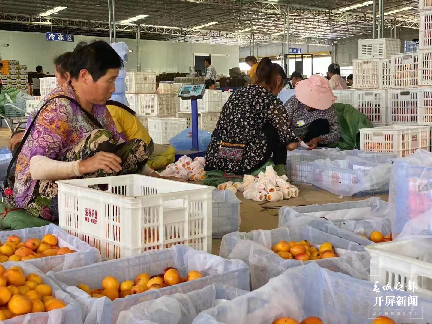 石旮旯地改造连片地