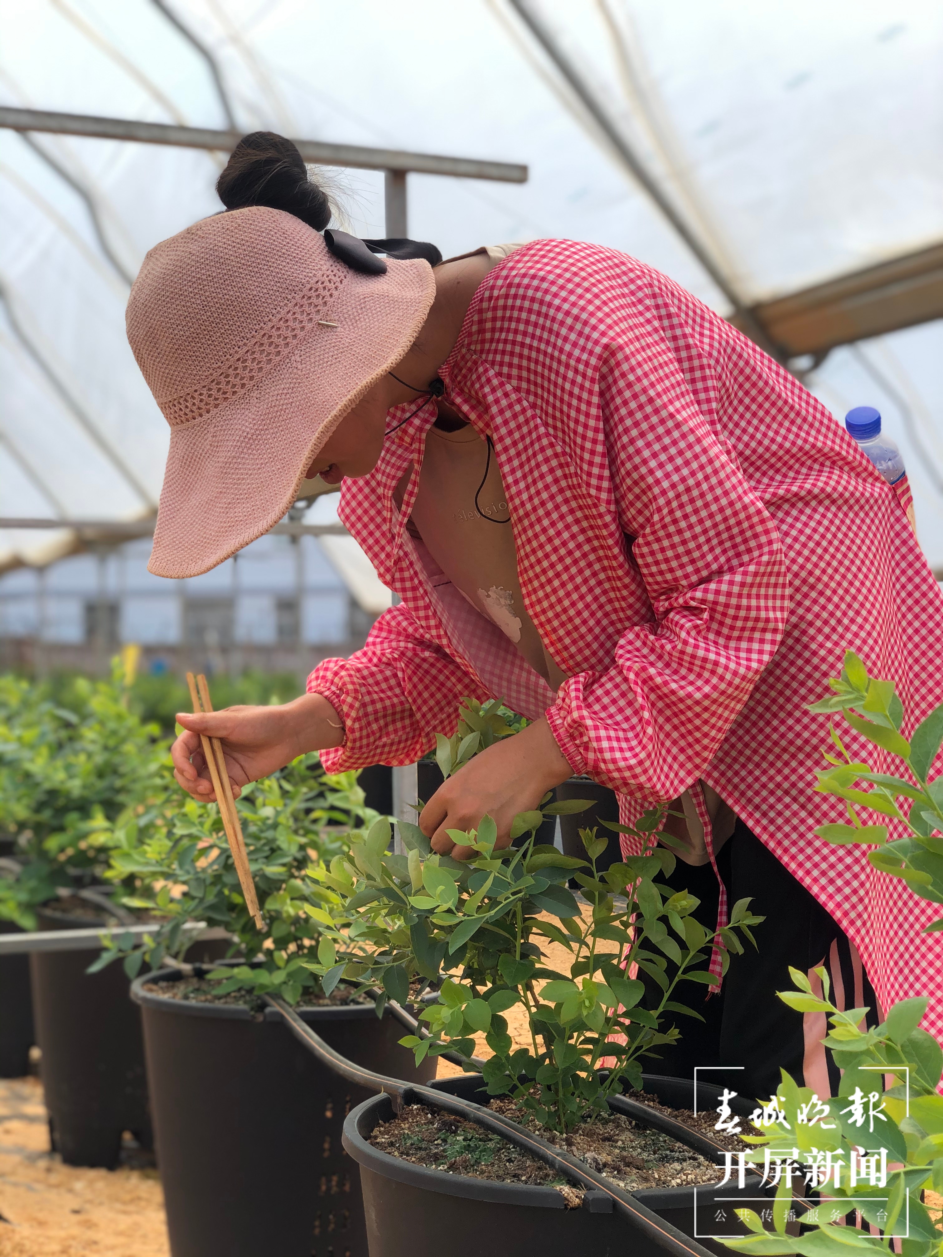 专业“找虫人”