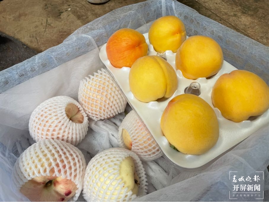 文山这个地方  空气里都是甜甜的“桃子味儿”